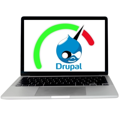 Drupal speed optimization service